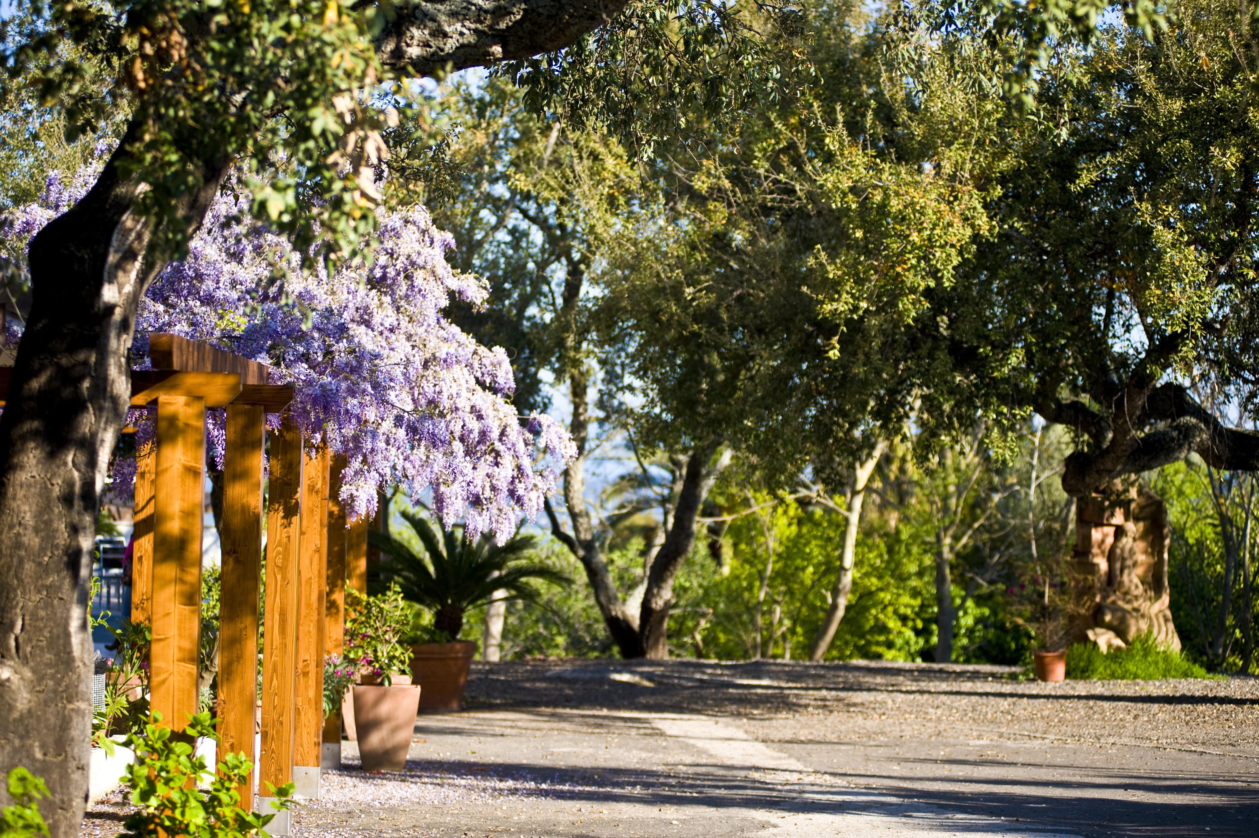 Hotel Il Querceto Dorgali Eksteriør bilde